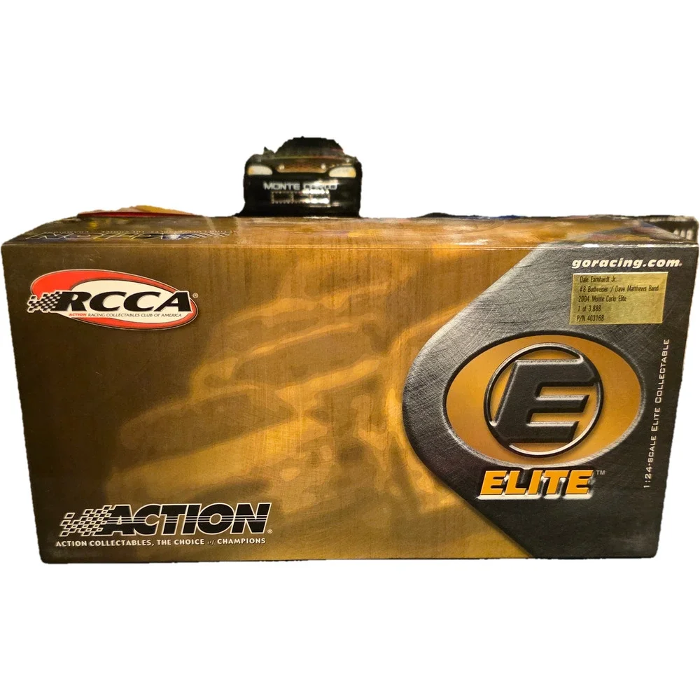 Action 2004 dale